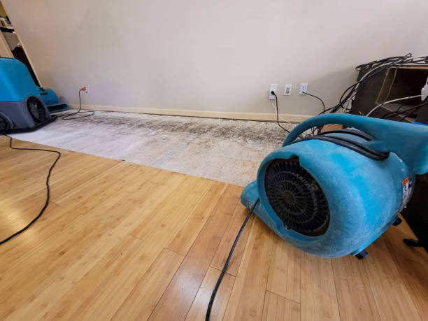 Professional Water Damage Repair technician working in Westport, MA